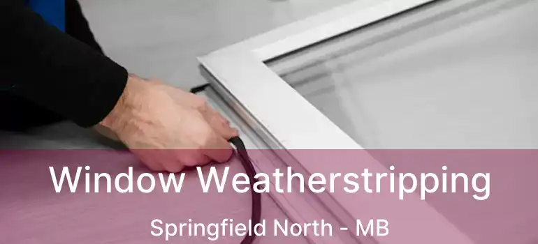  Window Weatherstripping Springfield North - MB