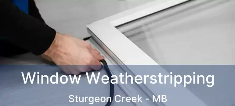  Window Weatherstripping Sturgeon Creek - MB