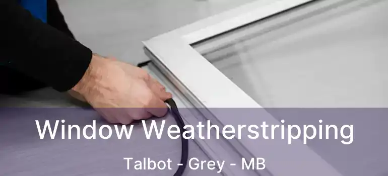  Window Weatherstripping Talbot - Grey - MB
