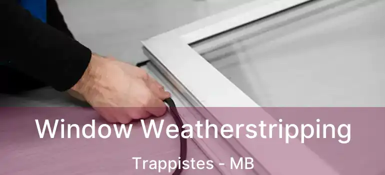  Window Weatherstripping Trappistes - MB