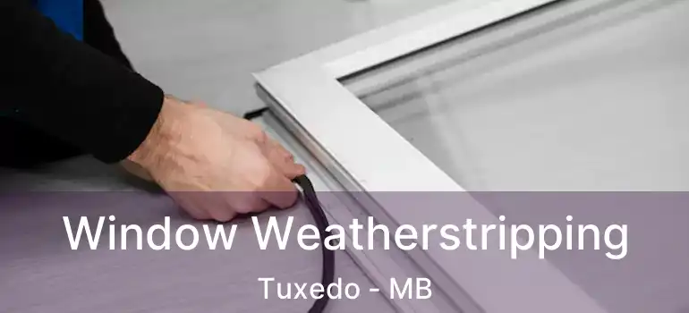 Window Weatherstripping Tuxedo - MB