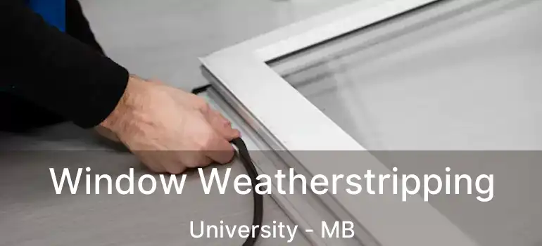  Window Weatherstripping University - MB