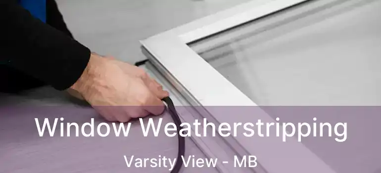 Window Weatherstripping Varsity View - MB