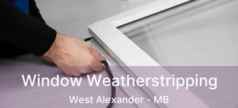  Window Weatherstripping West Alexander - MB