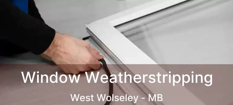  Window Weatherstripping West Wolseley - MB