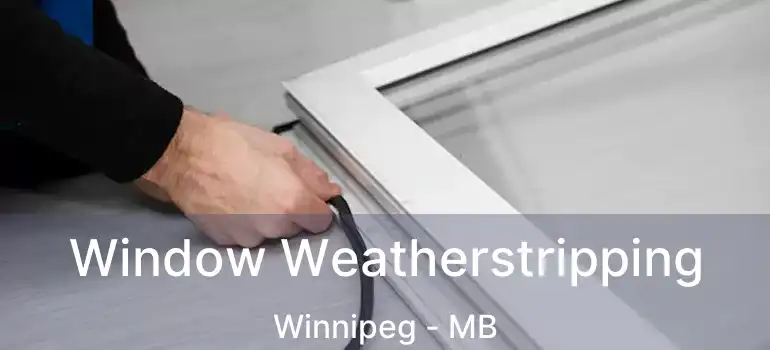  Window Weatherstripping Winnipeg - MB