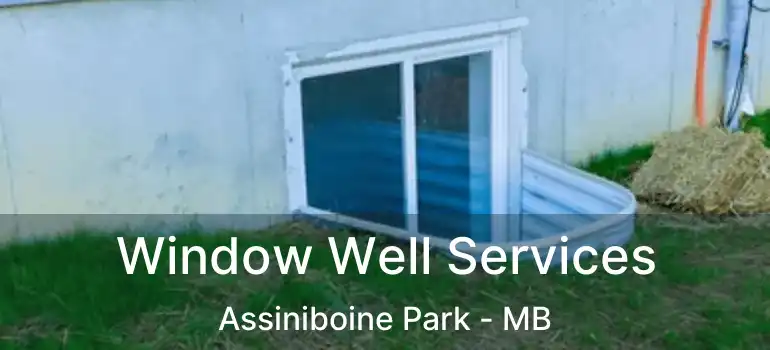  Window Well Services Assiniboine Park - MB