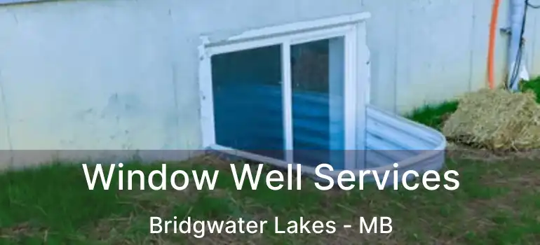  Window Well Services Bridgwater Lakes - MB