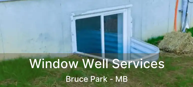  Window Well Services Bruce Park - MB