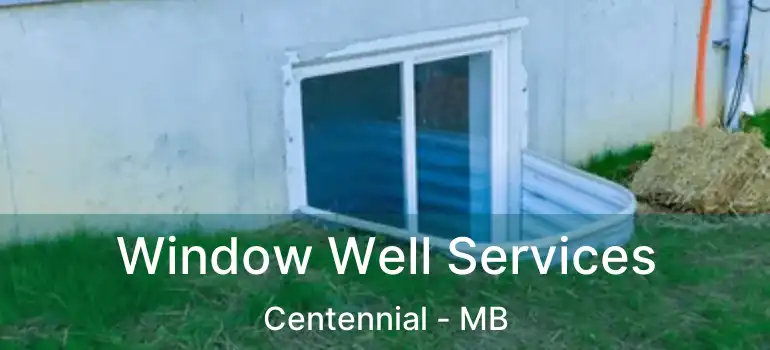  Window Well Services Centennial - MB