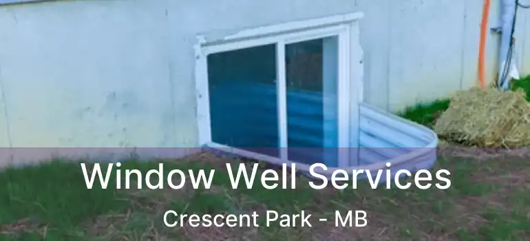  Window Well Services Crescent Park - MB
