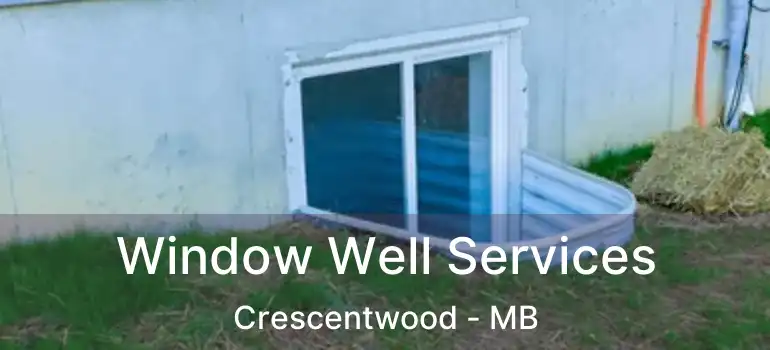  Window Well Services Crescentwood - MB