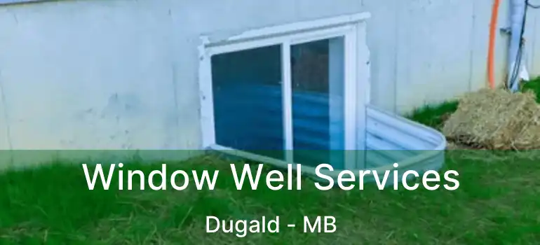  Window Well Services Dugald - MB