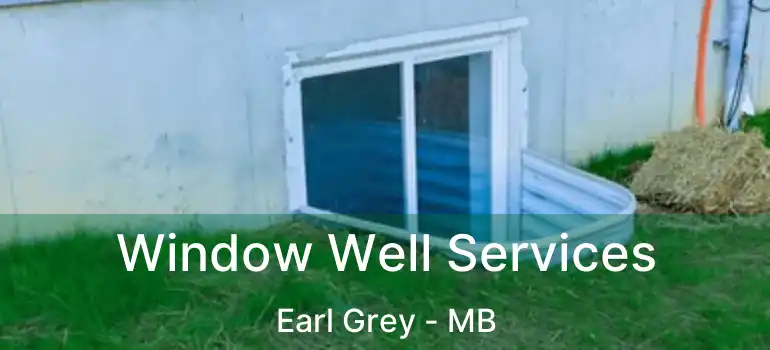  Window Well Services Earl Grey - MB