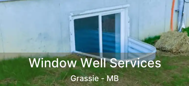  Window Well Services Grassie - MB