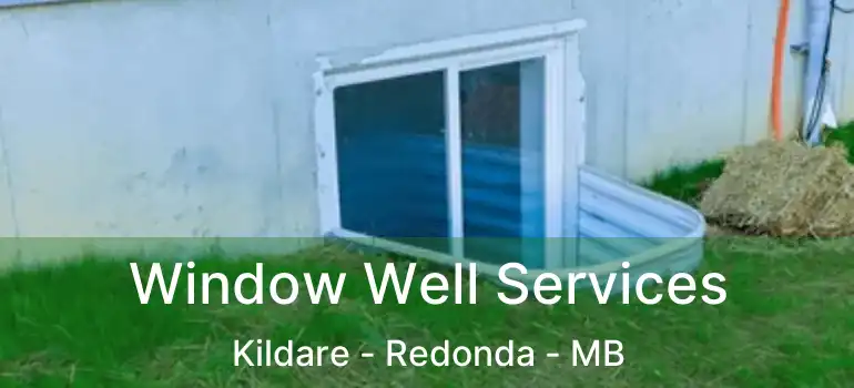  Window Well Services Kildare - Redonda - MB