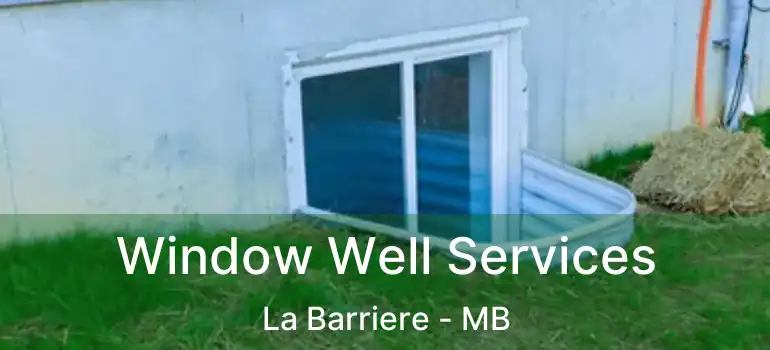  Window Well Services La Barriere - MB