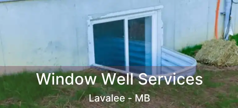  Window Well Services Lavalee - MB
