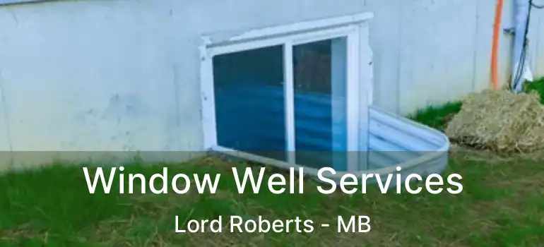  Window Well Services Lord Roberts - MB
