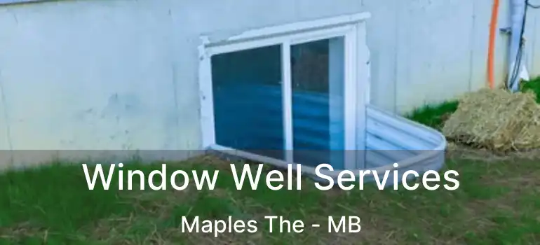  Window Well Services Maples The - MB