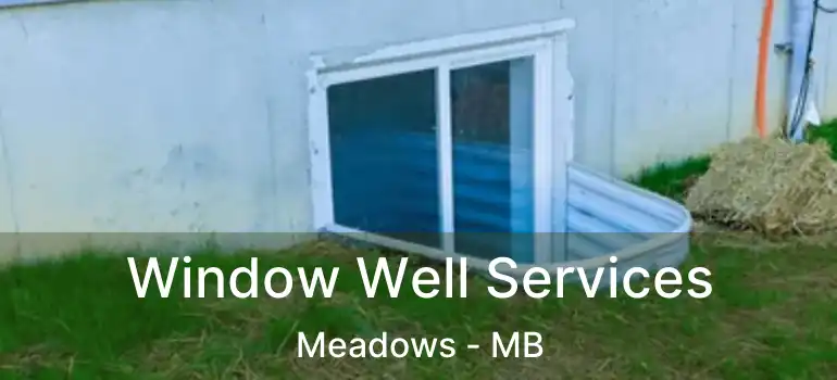  Window Well Services Meadows - MB