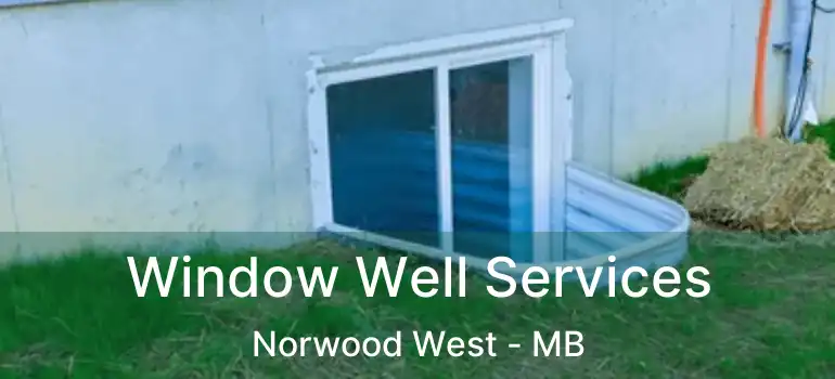  Window Well Services Norwood West - MB