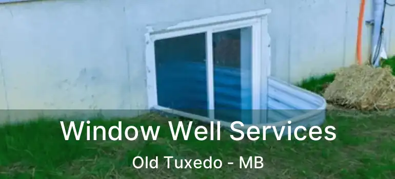  Window Well Services Old Tuxedo - MB