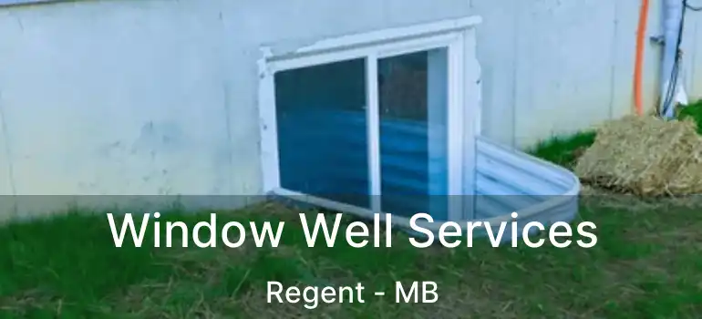  Window Well Services Regent - MB