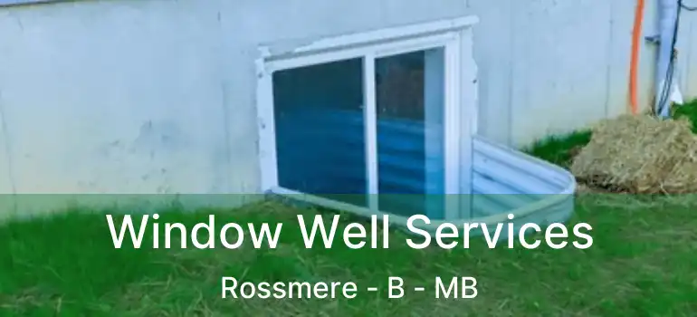  Window Well Services Rossmere - B - MB