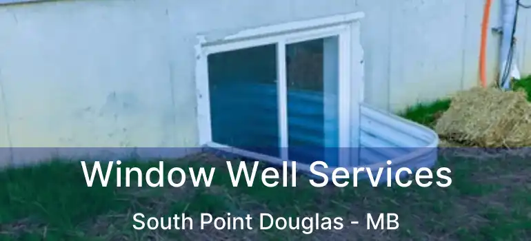  Window Well Services South Point Douglas - MB