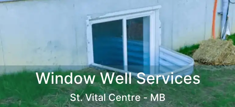  Window Well Services St. Vital Centre - MB