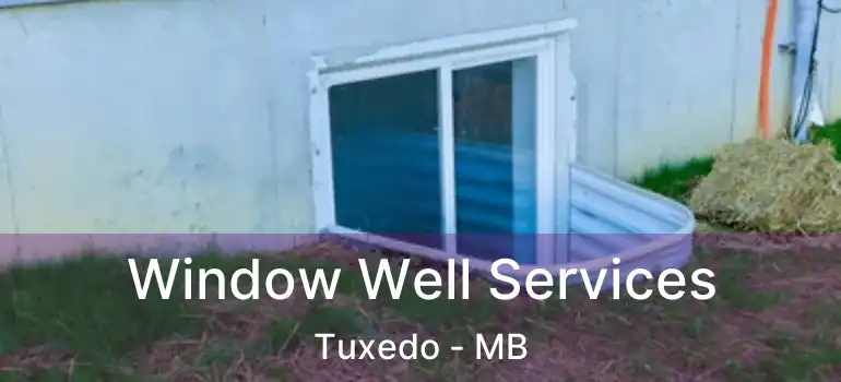  Window Well Services Tuxedo - MB