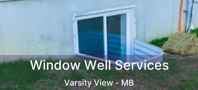  Window Well Services Varsity View - MB