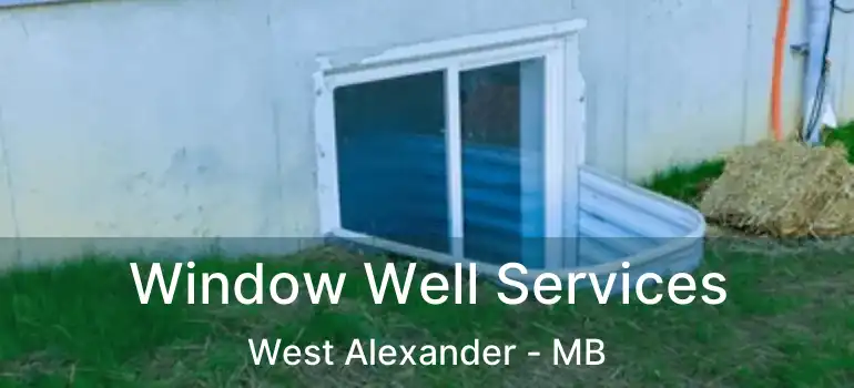  Window Well Services West Alexander - MB