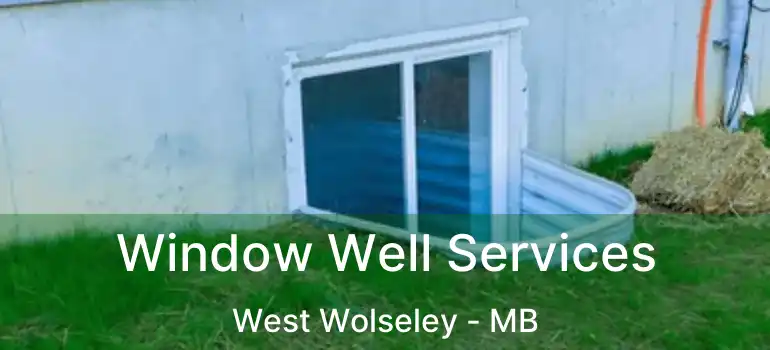  Window Well Services West Wolseley - MB