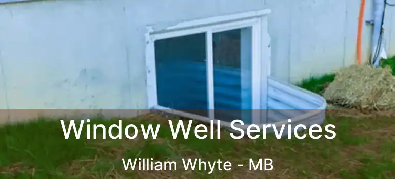  Window Well Services William Whyte - MB