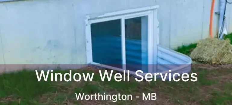  Window Well Services Worthington - MB
