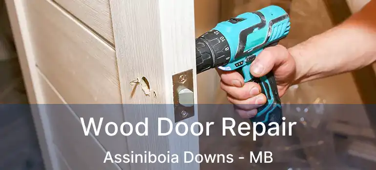  Wood Door Repair Assiniboia Downs - MB