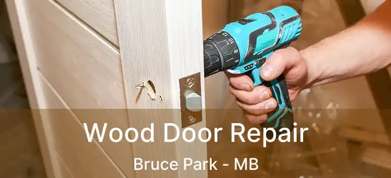  Wood Door Repair Bruce Park - MB