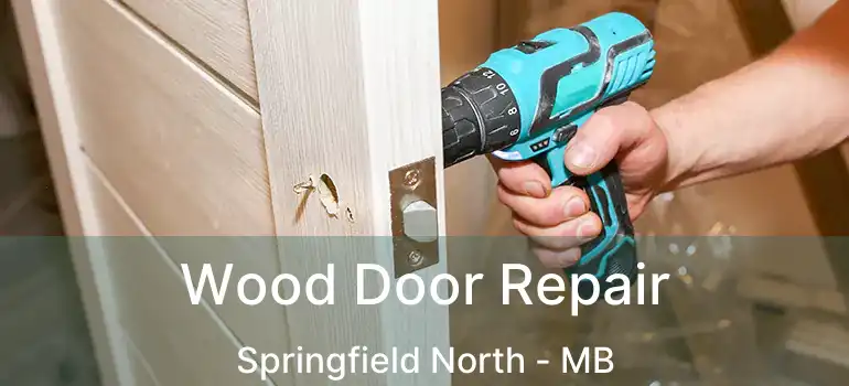  Wood Door Repair Springfield North - MB