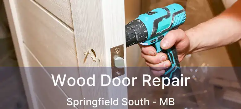  Wood Door Repair Springfield South - MB