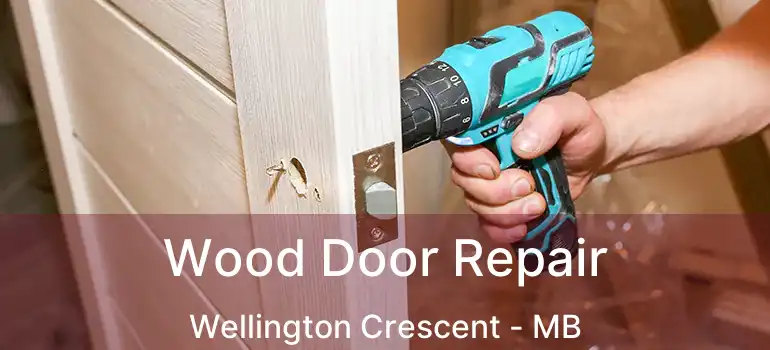  Wood Door Repair Wellington Crescent - MB